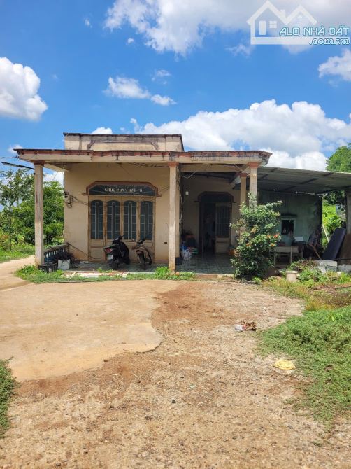 NHÀ VƯỜN + VƯỜN CÂY ĂN TRÁI 2 MẶT TIỀN VIEW SUỐI, SẴN THỔ CƯ, LIỀN KỀ CAO TỐC, GIÁ SIÊU RẺ - 6