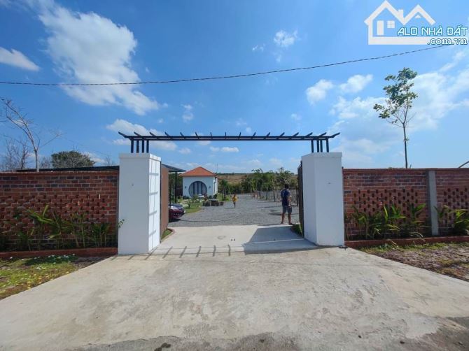BÁN VIEW NGHĨ DƯỠNG TAI ĐÁ BẠC CHÂU ĐỨC, BÀ RỊA VŨNG TÀU, DT 1000M2 CÓ NHÀ, ĐƯỜNG NHỰA 5M - 6