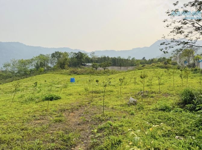 2,8HA ( 2000M2 ĐẤT Ở ) TRONG ĐẤT CÓ HỒ CÓ SUỐI THẾ ĐẤT CỰC ĐẸP - 6