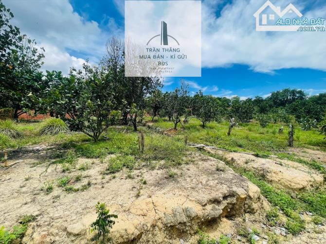 10 Mẫu Đất View Hồ - Có 300m Thổ Cư - Giáp Nước - 1.000m Mặt Tiền Đường Nhựa - 7