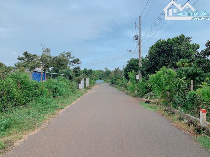 Bán khoảng 4 sào 4 (4435m2) đất Láng Lớn, huyện Châu Đức, BRVT. - 7