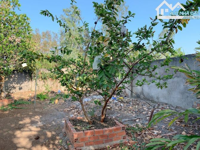 Bán khoảng 1 mẫu (10.213m2) đất Láng Lớn, huyện Châu Đức, BRVT. - 7