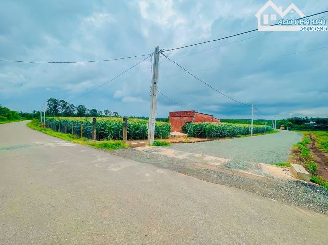 GIẢM MẠNH 50% BÁN 2 MẪU ĐẤT CÓ 2 MT ĐƯỜNG NHỰA, VIEW SUỐI, CÁCH VÒNG XOAY ĐÁ BẠC 800M - 7