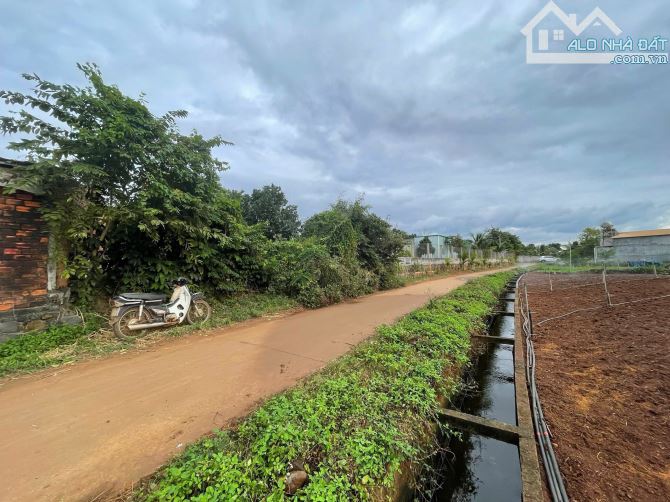 Bán đất hẻm gần trường đại học tây nguyên - 586 triệu - 7