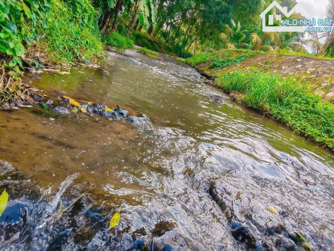 NHÀ VƯỜN CÂY ĂN TRÁI VIEW SUỐI, SẴN THỔ CƯ, KẾ BÊN CÁC KHU NGHỈ DƯỠNG, NHÀ VƯỜN ĐẸP - 7