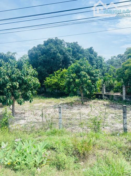 BÁN ĐẤT MẶT TIỀN QUỐC LỘ 1A – CAM HẢI TÂY, CAM LÂM - 8