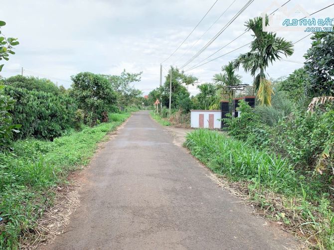 Bán khoảng 3 sào (2998m2) đất Láng Lớn, huyện Châu Đức, BRVT. - 8