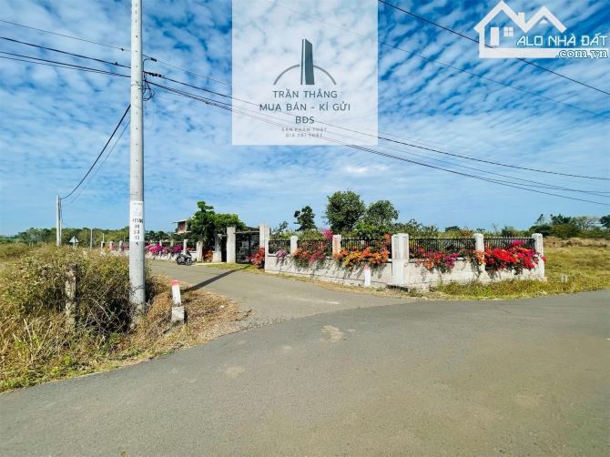 Nhà Vườn Xã Đá Bạc - Góc 2 MT - Có Thổ Cư - Chủ Để Lại Toàn Bộ Cây Cảnh - 8