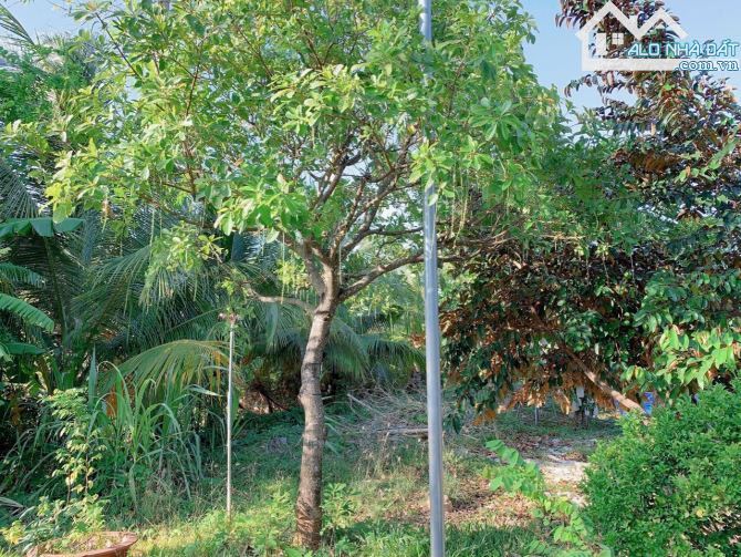 Bán khoảng 6 sào 1 (6115m2) đất Đá Bạc, huyện Châu Đức, BRVT. - 8