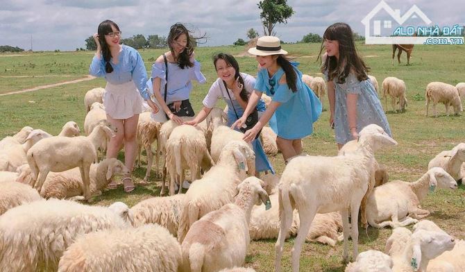 CĂN SHOPHOUSE MẶT TIỀN ĐƯỜNG LỚN, CẠNH SÂN GOLF VÀ ĐỒI CỪU SUỐI NGHÊ, TIỆN KINH DOANH - 8