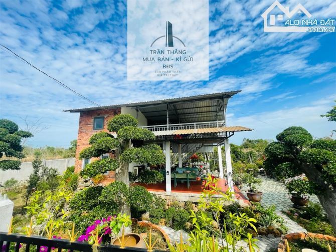 Nhà Vườn Xã Đá Bạc - Góc 2 MT - Có Thổ Cư - Chủ Để Lại Toàn Bộ Cây Cảnh - 9