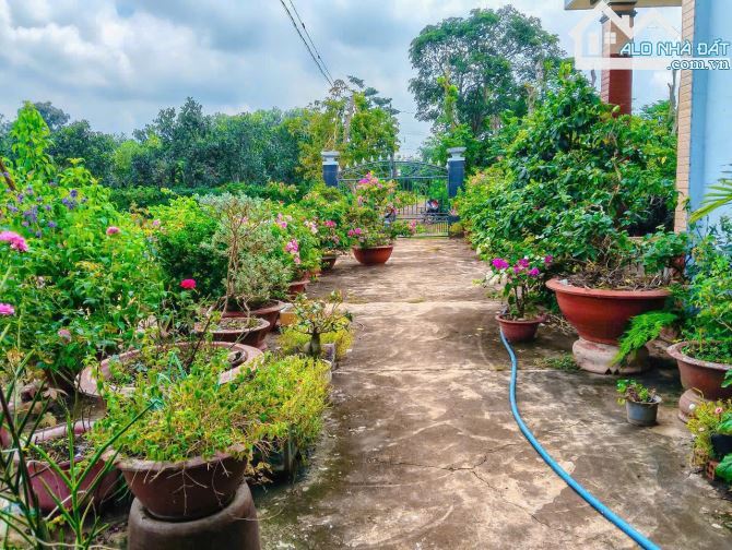 NHÀ VƯỜN CÂY ĂN TRÁI VIEW SUỐI, SẴN THỔ CƯ, KẾ BÊN CÁC KHU NGHỈ DƯỠNG, NHÀ VƯỜN ĐẸP - 9