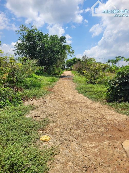 NHÀ VƯỜN + VƯỜN CÂY ĂN TRÁI 2 MẶT TIỀN VIEW SUỐI, SẴN THỔ CƯ, LIỀN KỀ CAO TỐC, GIÁ SIÊU RẺ - 9