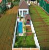 BÁN NHÀ VƯỜN VILLA SAU CHỢ EAKAO, DT 10X50, GIÁ 3.6 TỶ