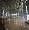 Cho thuê Kho Xưởng 7.000m2 Long An. Hệ thống PCCC, đường xe Container 24h