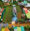Nhà villa hồ bơi 10x50m Eakao, BMT
