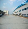 Bán kho xưởng 4,5ha gần KCN Châu Đức, huyện Châu Đức, tỉnh Bà Rịa - Vũng Tàu.