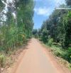 Bán khoảng 1 sào (1067m2) đất Láng Lớn, huyện Châu Đức, BRVT.