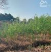 Bán khoảng 6 sào 5 (6490m2) đất Láng Lớn, huyện Châu Đức, BRVT.