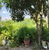 Nhỉnh hơn 7 tỷ/165 M2/ 8 M tiền/ Ô Tô Chánh/ Kim Hồ