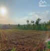 Bán khoảng 7 sào 5 VIEW SUỐI (7514m2) đất Láng Lớn, huyện Châu Đức, BRVT.