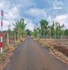 LÔ ĐẤT GẦN 5000M2 VIEW SUỐI, PHỦ HỒNG, MẶT TIỀN ĐƯỜNG NHỰA THÔNG, GIÁ NGỘP SIÊU RẺ