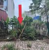 100m TĐC Bắc Phú Cát Vị Trí Trung Tâm Đẹp Nhất Hoà Lạc Gần ĐH quốc gia Gần CN gần cao tốc