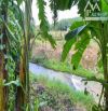 Bán khoảng 5 sào (5069m2) đất Bình Ba, huyện Châu Đức, BRVT.