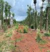 Bán khoảng 3 sào (3019m2) đất Kim Long, huyện Châu Đức, BRVT.
