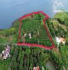 Bán khoảng 6 sào 8 (6785m2) đất thị trấn Kim Long, huyện Châu Đức, BRVT.