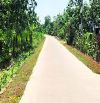 BÁN GẤP 2,9HA ĐẤT MẶT TIỀN BÊ TÔNG XÃ NHÂN CƠ. ĐANG CÓ NGUỒN THU TỐT