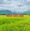 Diện tich:492-10mx50m-100 thổ cư-Đường Tôn Thất Thuyết-Phước Hải-cách đường ven biển 50m