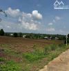 LÔ ĐẤT ĐẸP, PHỦ HỒNG TOÀN BỘ, CÁCH BÌNH BA - ĐÁ BẠC CHỈ 500M, THUẬN TIỆN PHÂN LÔ