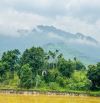 2,8HA ( 2000M2 ĐẤT Ở ) TRONG ĐẤT CÓ HỒ CÓ SUỐI THẾ ĐẤT CỰC ĐẸP