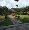 KHU SINH THÁI VIEW SÔNG CẦN GIUỘC TẠI HƯNG LONG - BÌNH CHÁNH  - LÀM KHU SINH THÁI BAO ĐẸP