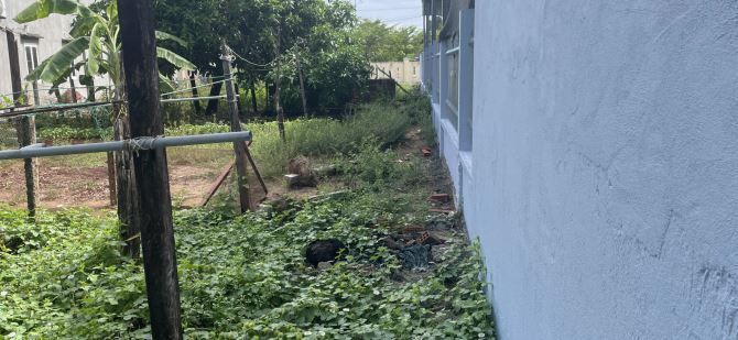 càn bán đất tại xã Đảo Tam Hải - 2
