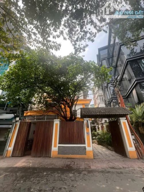 Bán biệt thự Lô Góc Mặt Phố Mai Anh Tuấn, Đống Đa 212m2 mặt tiền 10,5m Cực Phẩm View Hồ - 2