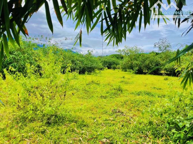 📌📌📌LÀM VIỆC TRỰC TIẾP GIÁ TỐT !!!bán lô đất kiệt ô tô 4m tận nơi- Hoà Phú - 3