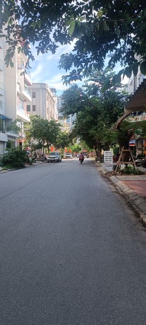 Đất mặt đường Nguyễn Tất Tố, vị trí đẹp Kinh Doanh buôn bán tốt - Sinh lời bền vững - 3
