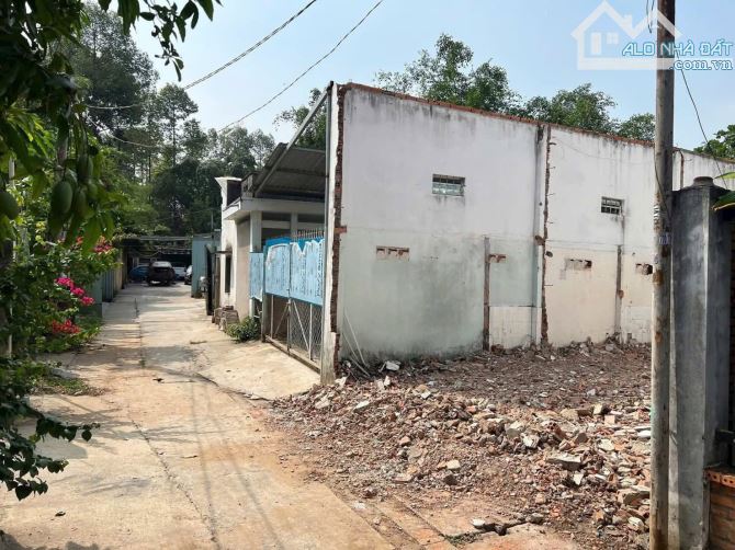 ĐẤT PHÚ CƯỜNG – GẦN PHỐ ĐI BỘ BẠCH ĐẰNG  1 TỶ 650 (còn thương lượng)