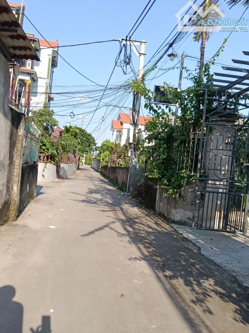 Siêu phẩm nhỏ xinh giá rẻ đường ô tô 👉 tự nhiên -thường tín