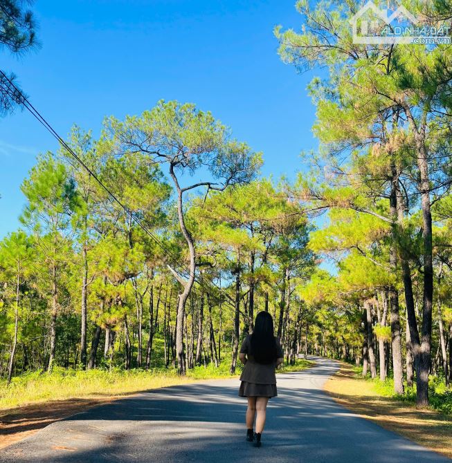 🌿 BÁN ĐẤT KHU NGHỈ DƯỠNG –GẦN ĐAN VIỆN THIÊN AN, HUẾ 🌿DT :109 M ( 5x22)   📍 GIÁ; 1,X TỶ