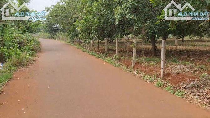 Chủ cần Bán đất có vườn cây ăn trái tại xã Láng Lớn,Châu Đức, Bà Rịa - Vũng Tàu