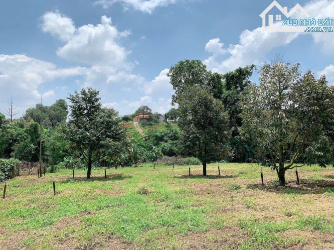 Cần bán vườn trái cây 5681 m2 view suối tuyệt đẹp, mặt tiền nhựa xe hơi đến 56m, phủ hồng