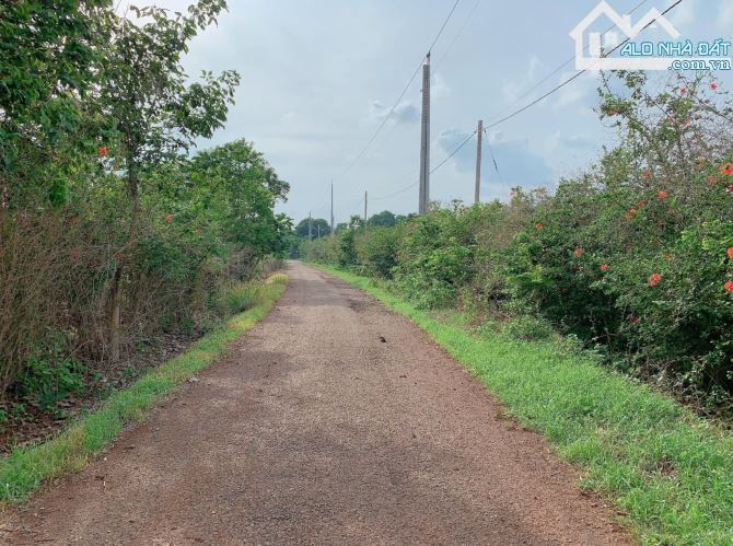 Cần bán 10.370m2 đất phủ hồng, sẵn 100m2 thổ cư, mặt tiền đến 50m, đất đẹp, màu mỡ