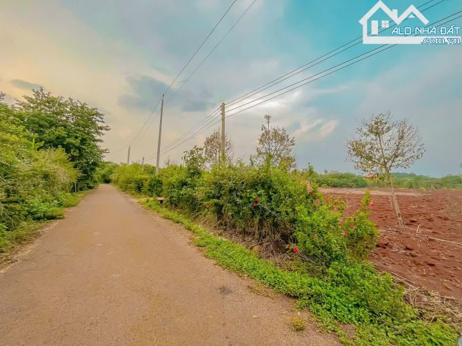HƠN 1 MẪU ĐẤT MẶT TIỀN ĐƯỜNG NHỰA, QUY HOẠCH ĐẤT Ở, LIỀN KỀ CAO TỐC LONG THÀNH - HỒ TRÀM