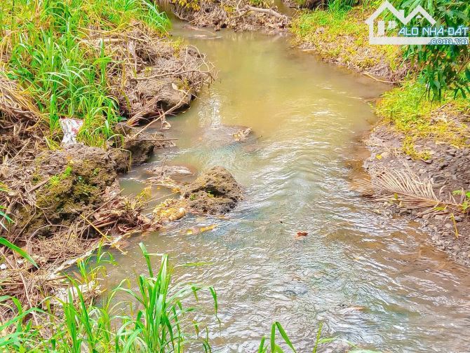 VƯỜN TRÁI CÂY VIEW SUỐI, SẴN THỔ CƯ, CÁCH ĐƯỜNG XÀ BANG - LÁNG LỚN 300M, LIỀN KỀ THỊ TRẤN