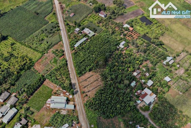 LÔ ĐẤT BIỆT THỰ VƯỜN TUYỆT ĐẸP MẶT TIỀN 56B SUỐI NGHỆ, THỔ CƯ, CÓ HỒ BƠI, VƯỜN CÂY ĂN TRÁI
