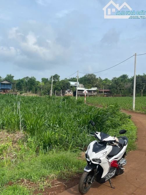 BÁN ĐẤT SUỐI RAO CHÂU ĐỨC, DT 1000M2 FULL HỒNG, KHU DÂN CU TÂP TRUNG GIÁ 1.2 TI