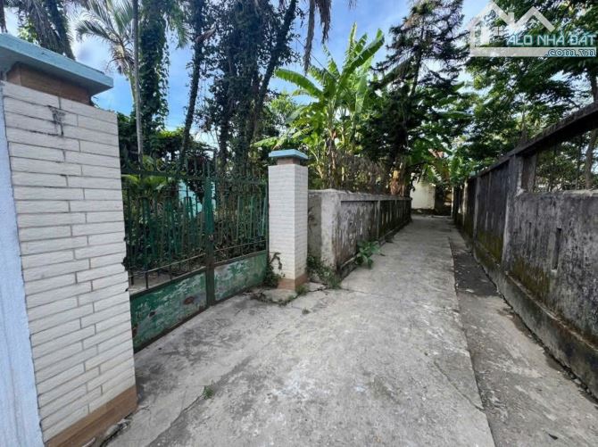 CHO THUÊ NHÀ KIỆT LÝ NAM ĐẾ, HƯƠNG LONG, TP HUẾ